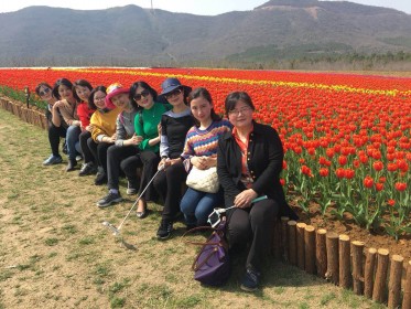 mmexport1522024936247_001.jpg mmexport1522024936247_001.jpg