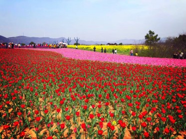 mmexport1521882423381_001.jpg mmexport1521882423381_001.jpg