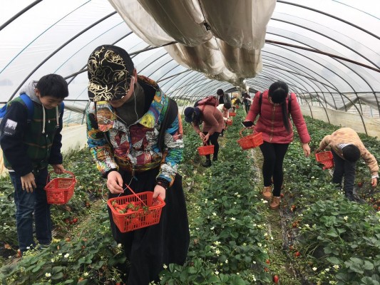 QQ图片20170321104350_001.jpg QQ图片20170321104350_001.jpg